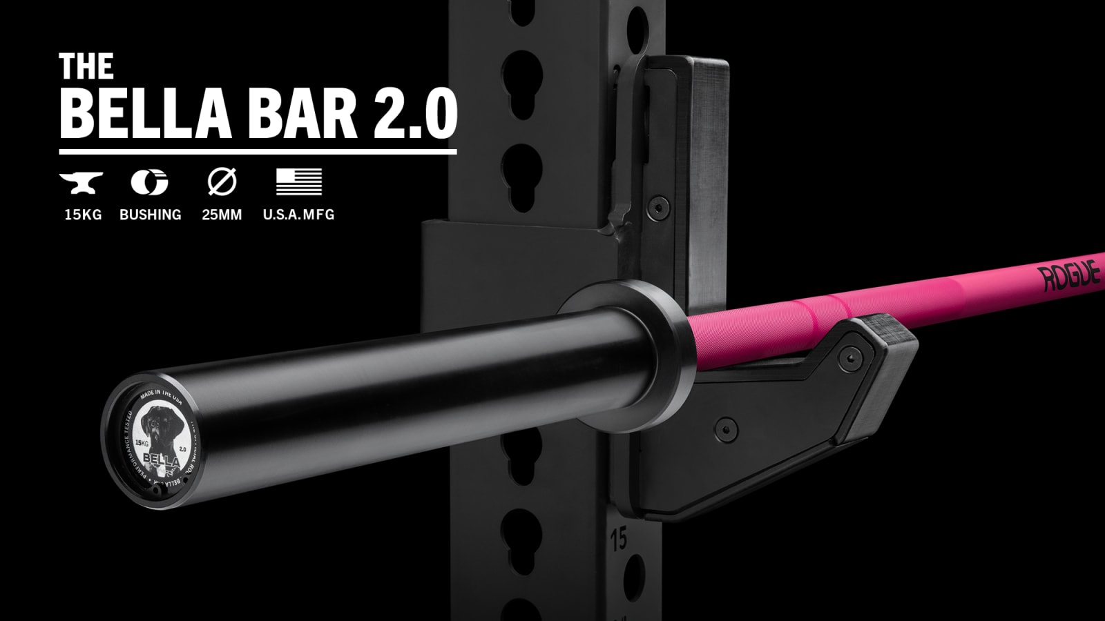 Rogue fitness 2.0 bar 2025
